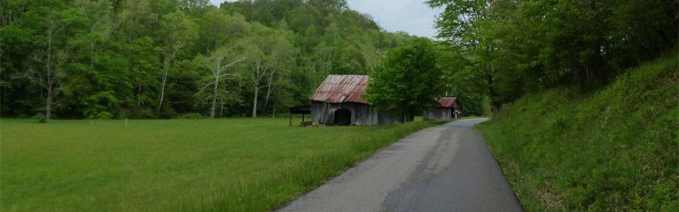 Dog Fork Road Dog Fork Road